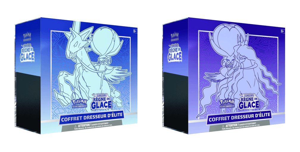 Coffret Dresseur d’élite Épée et Bouclier – Règne de Glace (modèle aléatoire)