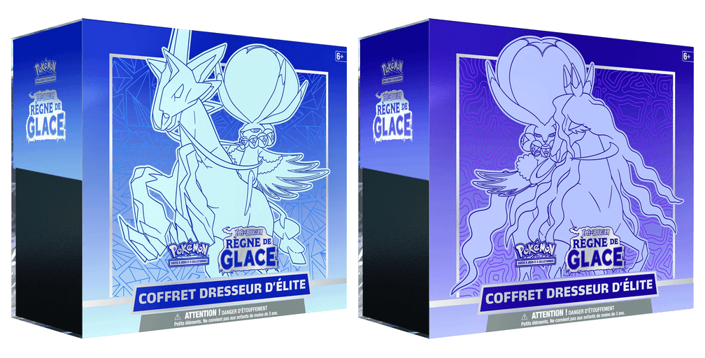 Coffret Dresseur d’élite Épée et Bouclier – Règne de Glace (modèle aléatoire)