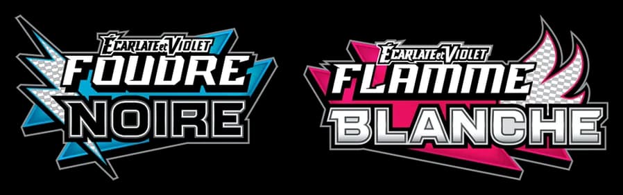 Logo Foudre Noire & Flamme Blanche